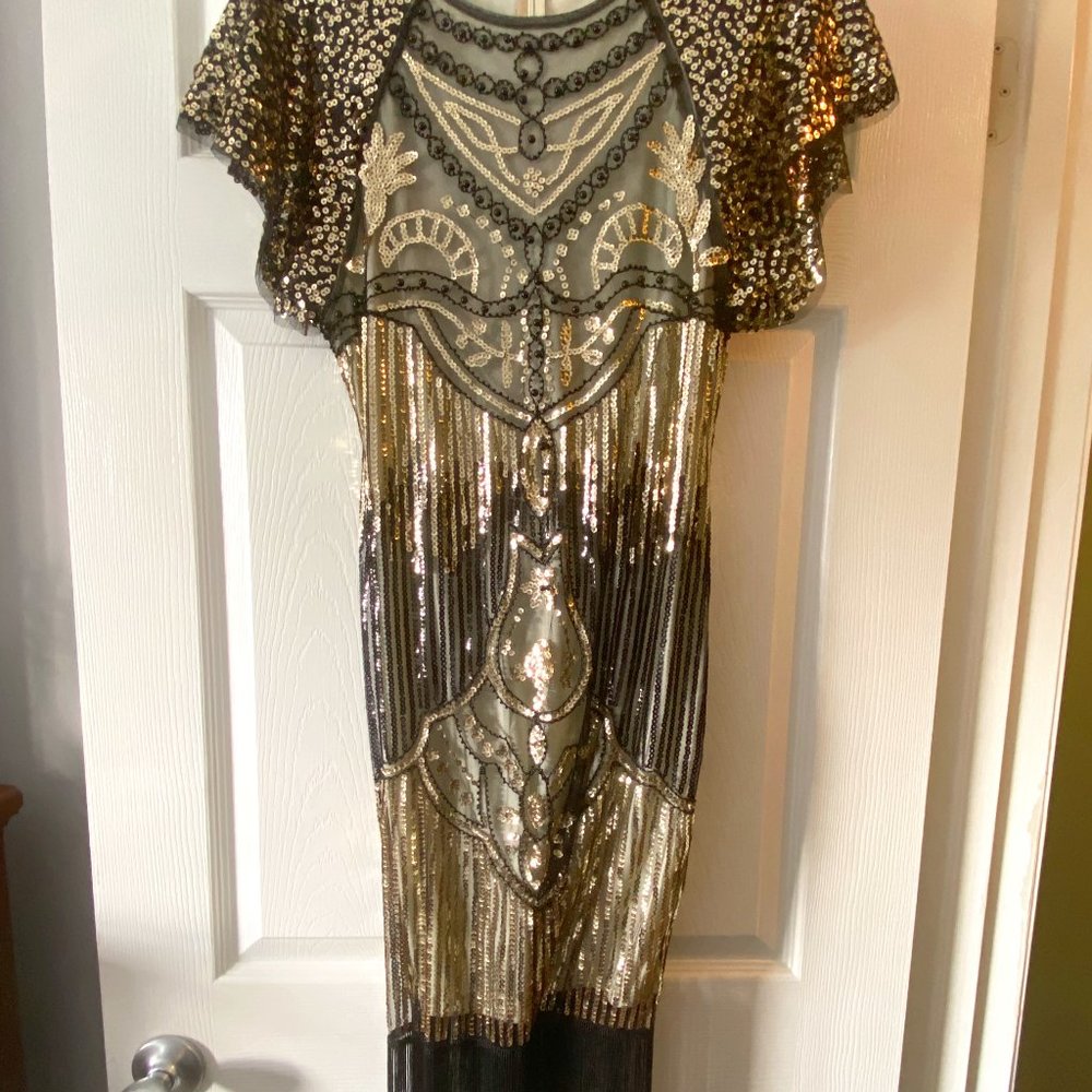 ✨20s Style Sequin Flapper Dress! GORGEOUS & SPARKLY✨